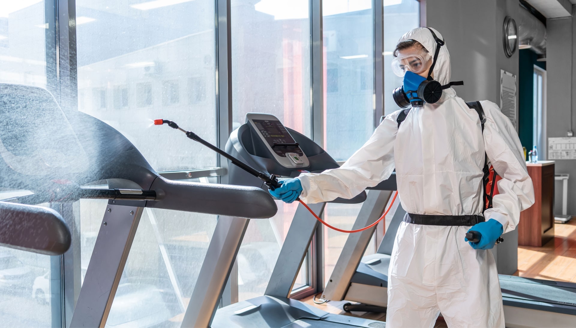 Commercial Mold Removal Services in Rochester