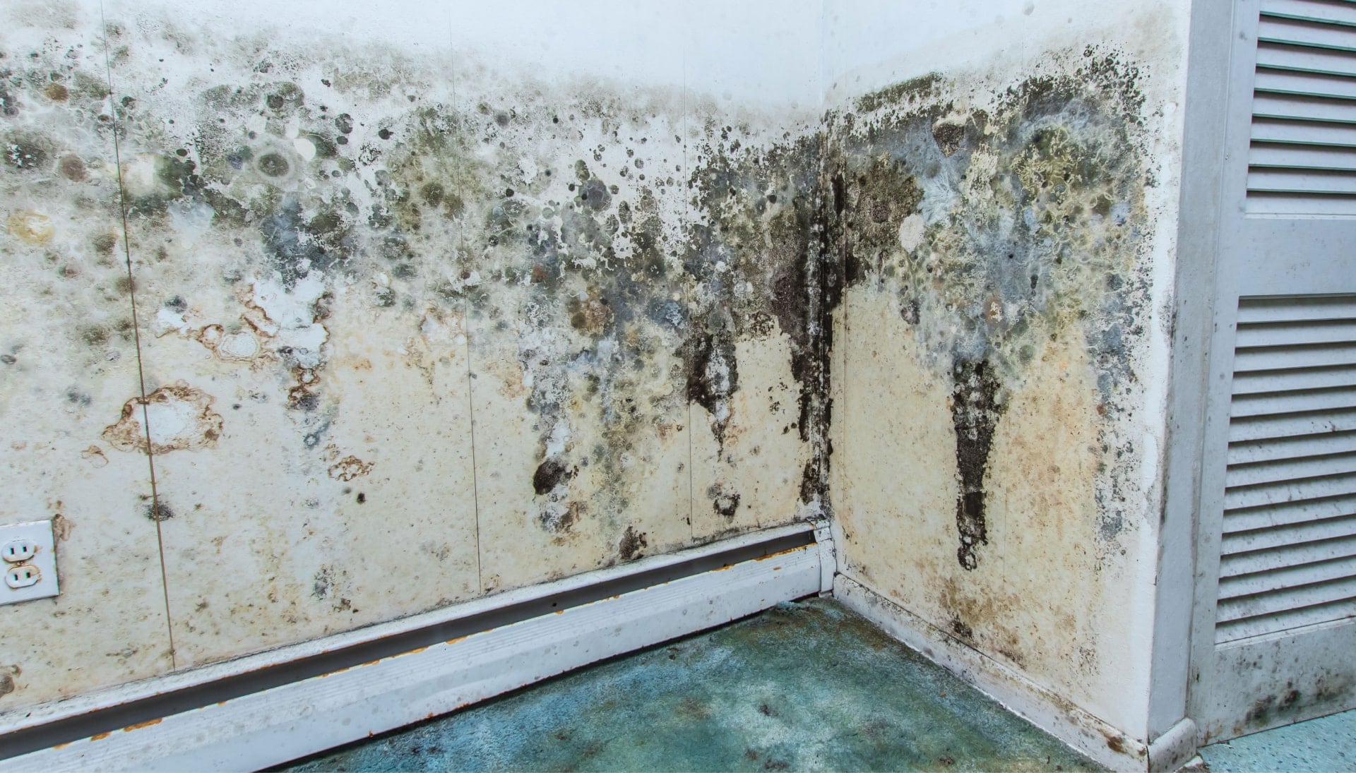 A mold remediation team using specialized techniques to remove mold damage and control odors in a Rochester property, with a focus on safety and efficiency